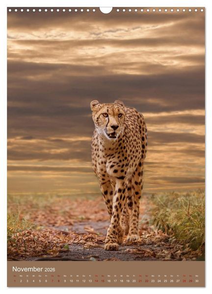 Produktbild: Portraits of Animals (Wandkalender 2026 DIN A3 hoch), CALVENDO Monatskalender
