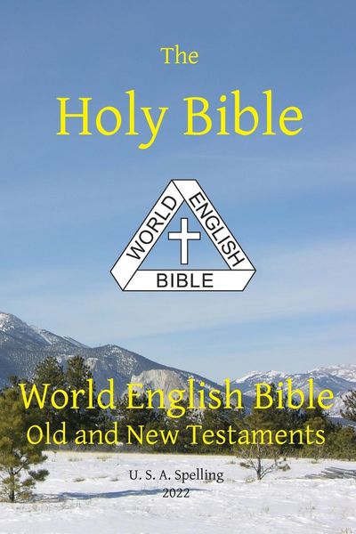 Produktbild: Holy Bible