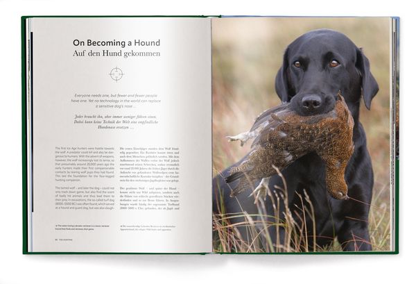 Produktbild: Jagd - Das ultimative Buch