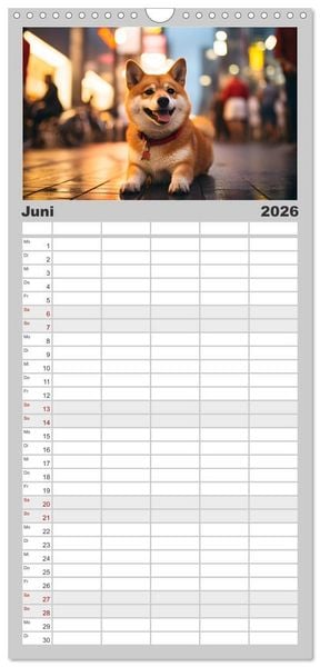 Produktbild: Familienplaner 2026 - Shiba Inu - Stolz und Anmut mit 5 Spalten (Wandkalender, 21 x 45 cm) CALVENDO