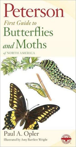 Produktbild: Peterson First Guide to Butterflies and Moths