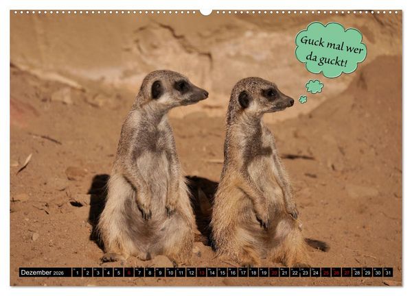 Produktbild: Wenn Tiere sprechen k&ouml;nnten! Der lustige Spr&uuml;che Kalender (Wandkalender 2026 DIN A2 quer), CALVENDO Monatskalender
