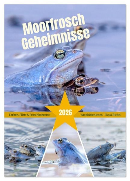 Moorfrosch Geheimnisse – Farben, Flirts & Froschkonzerte - Tanja Riedel (Wandkalender 2026 DIN A4 hoch), CALVENDO Monatskalender