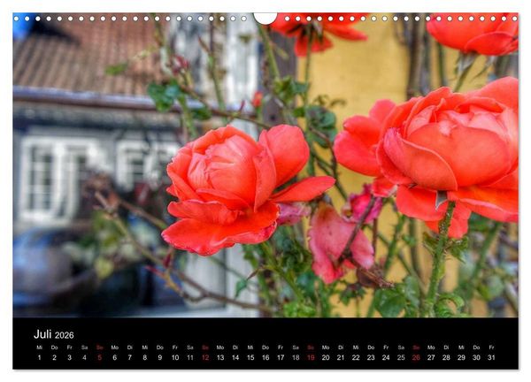 Produktbild: Zeit f&uuml;r... die Insel &AElig;r&oslash; (Wandkalender 2026 DIN A3 quer), CALVENDO Monatskalender