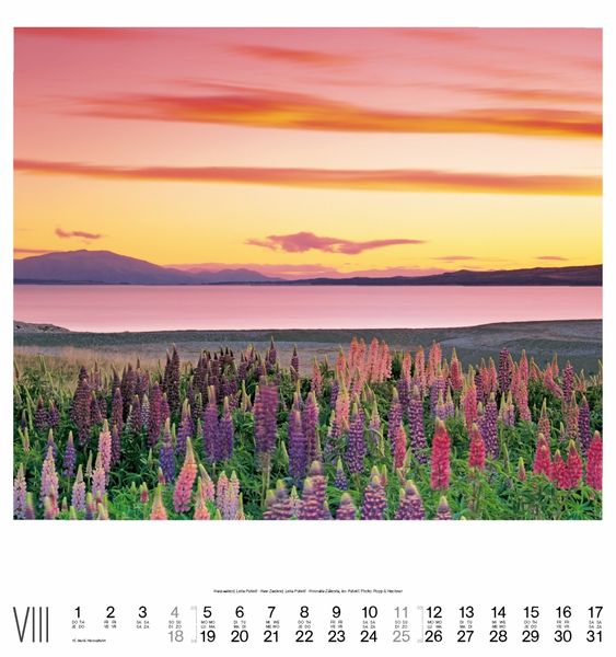 Produktbild: Faszination Natur 2013
