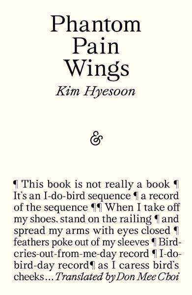 Produktbild: Phantom Pain Wings