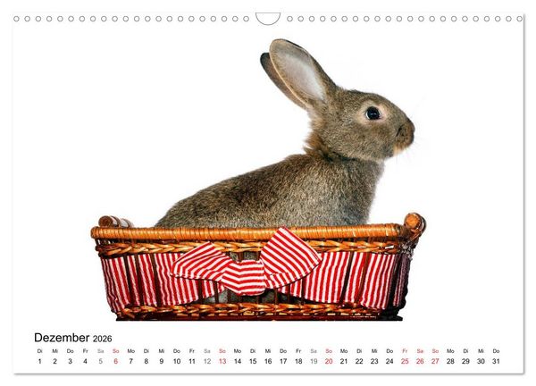 Produktbild: Lustige Kaninchen (Wandkalender 2026 DIN A3 quer), CALVENDO Monatskalender