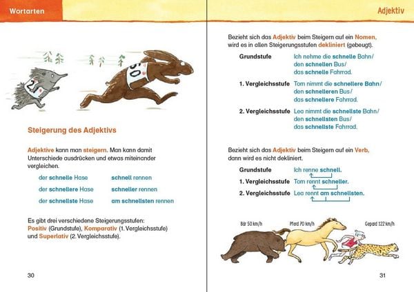 Produktbild: Duden - Die Grundschulgrammatik