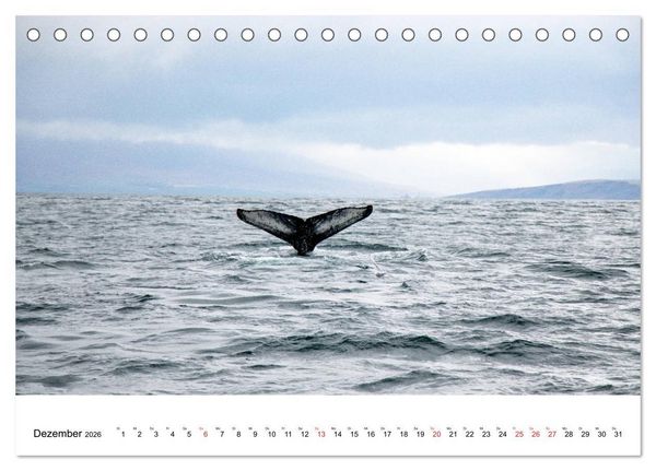 Produktbild: ISLAND Atemberaubende Natur aus Feuer und Eis (Tischkalender 2026 DIN A5 quer), CALVENDO Monatskalender