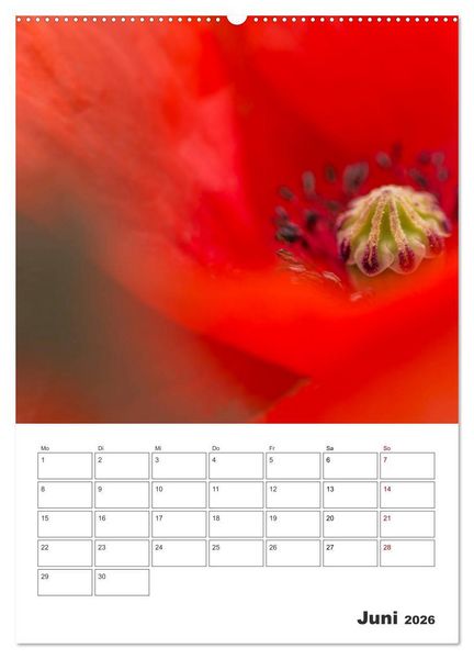 Produktbild: Farbiger Bl&uuml;tentraum (Wandkalender 2026 DIN A2 hoch), CALVENDO Monatskalender