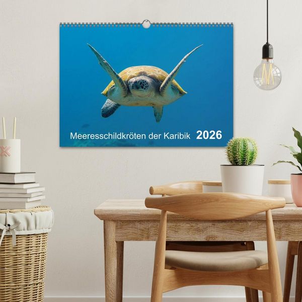 Produktbild: Meeresschildkr&ouml;ten der Karibik (Wandkalender 2026 DIN A3 quer), CALVENDO Monatskalender