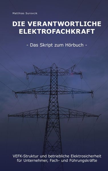 Produktbild: Die Verantwortliche Elektrofachkraft