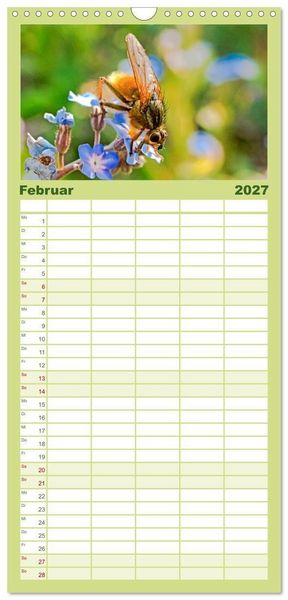 Produktbild: Familienplaner 2027 - INSEKTEN - Makrofotografie in freier Natur mit 5 Spalten (Wandkalender, 21 x 45 cm) CALVENDO