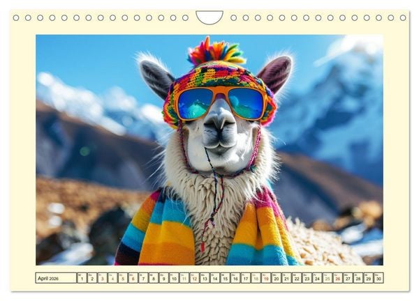 Produktbild: Lamas auf Tour. Perus flauschige Fashion-Ikonen (Wandkalender 2026 DIN A4 quer), CALVENDO Monatskalender