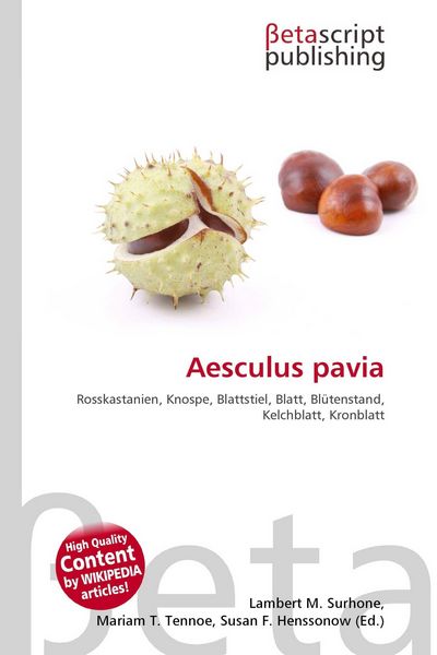 Produktbild: Aesculus pavia