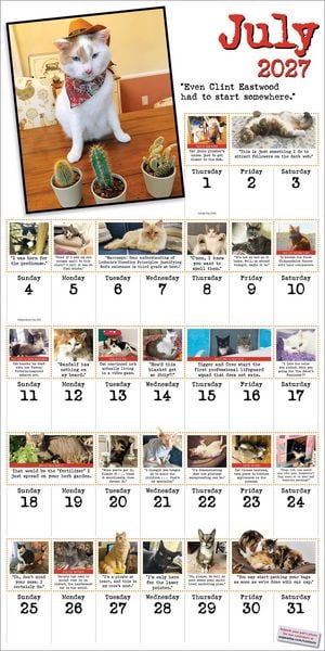 Produktbild: Bad Cat Wall Calendar 2027