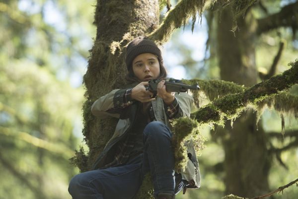 Produktbild: Into the Forest