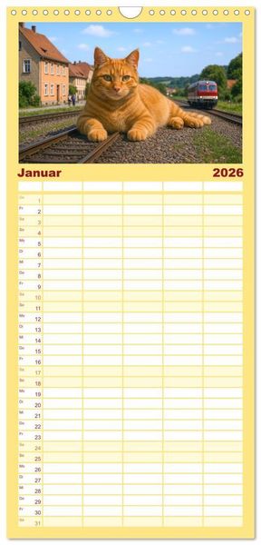 Produktbild: Familienplaner 2026 - Katzen Weltherrschaft mit 5 Spalten (Wandkalender, 21 x 45 cm) CALVENDO