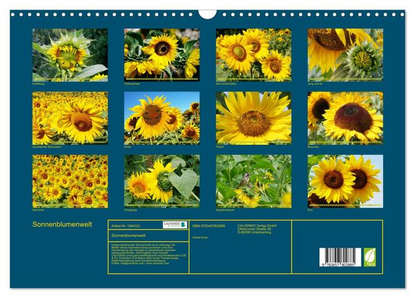 Produktbild: Sonnenblumenwelt (Wandkalender 2026 DIN A3 quer), CALVENDO Monatskalender