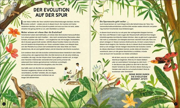 Produktbild: Evolution - Aussterben oder &uuml;berleben? Du entscheidest!