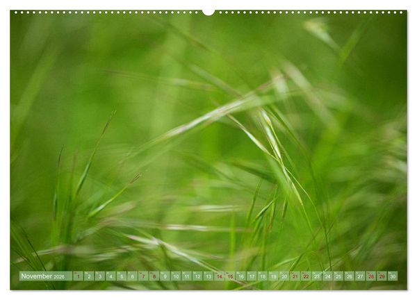 Produktbild: GR&Uuml;N Harmonie Wachstum Zufriedenheit (Wandkalender 2026 DIN A2 quer), CALVENDO Monatskalender