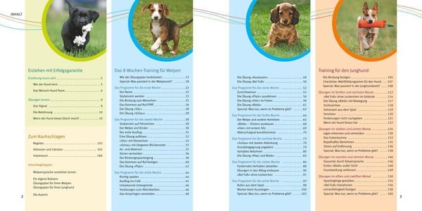 Produktbild: Welpen-Erziehung