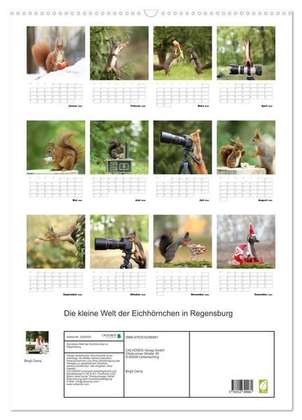 Produktbild: Die kleine Welt der Eichh&ouml;rnchen in Regensburg (Wandkalender 2026 DIN A2 hoch), CALVENDO Monatskalender