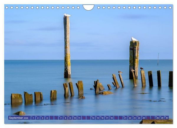 Produktbild: Ein Blick auf die Insel Texel (Wandkalender 2026 DIN A4 quer), CALVENDO Monatskalender