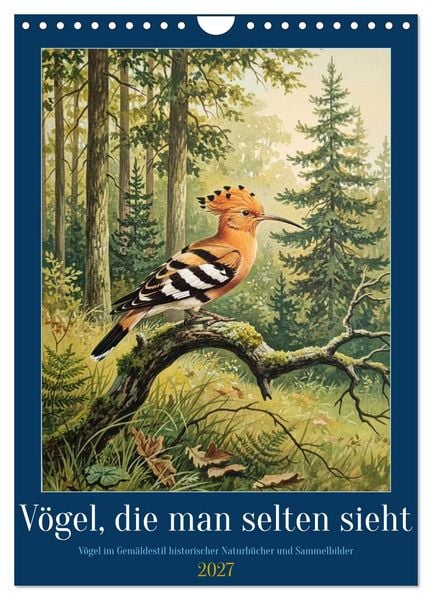 Produktbild: V&ouml;gel, die man selten sieht (Wandkalender 2027 DIN A4 hoch), CALVENDO Monatskalender