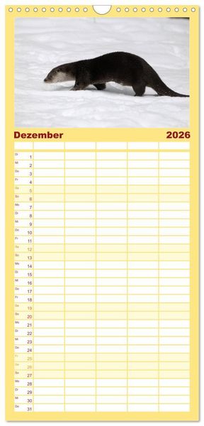 Produktbild: Familienplaner 2026 - Fischotter, flinke J&auml;ger mit 5 Spalten (Wandkalender, 21 x 45 cm) CALVENDO