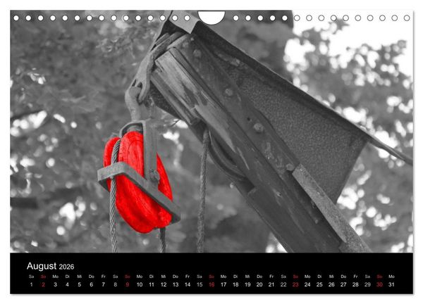 Produktbild: Blickfang in Rot (Wandkalender 2026 DIN A4 quer), CALVENDO Monatskalender