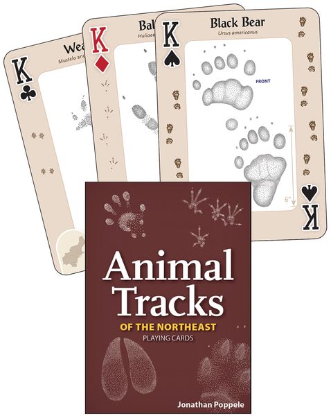 Produktbild: Animal Tracks of the Northeast Playing Cards