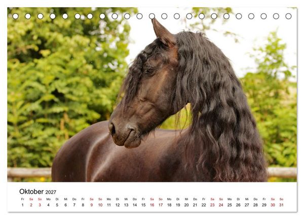 Produktbild: Friesen - Kraft und Eleganz (Tischkalender 2027 DIN A5 quer), CALVENDO Monatskalender