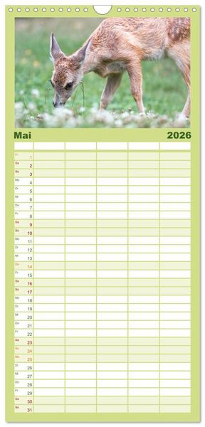 Produktbild: Familienplaner 2026 - Heimische Tiere - Rehe mit 5 Spalten (Wandkalender, 21 x 45 cm) CALVENDO