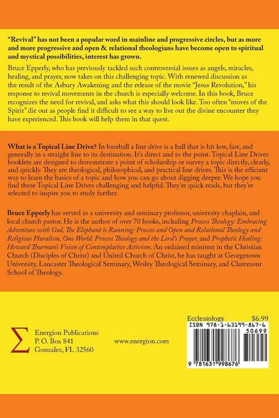 Produktbild: Process Theology and the Revival We Need
