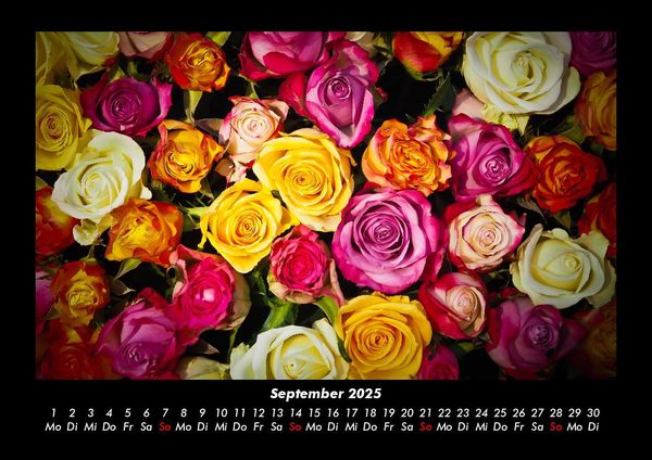 Produktbild: Rosen-Kalender 2025 Fotokalender DIN A3