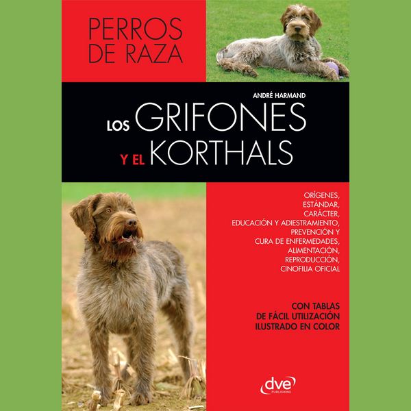 Produktbild: Los Grifones y el Korthals