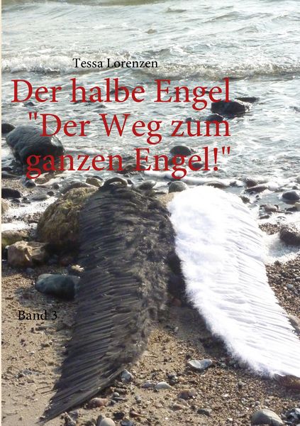 Produktbild: Der halbe Engel Band 3 Der Weg zum ganzen Engel!