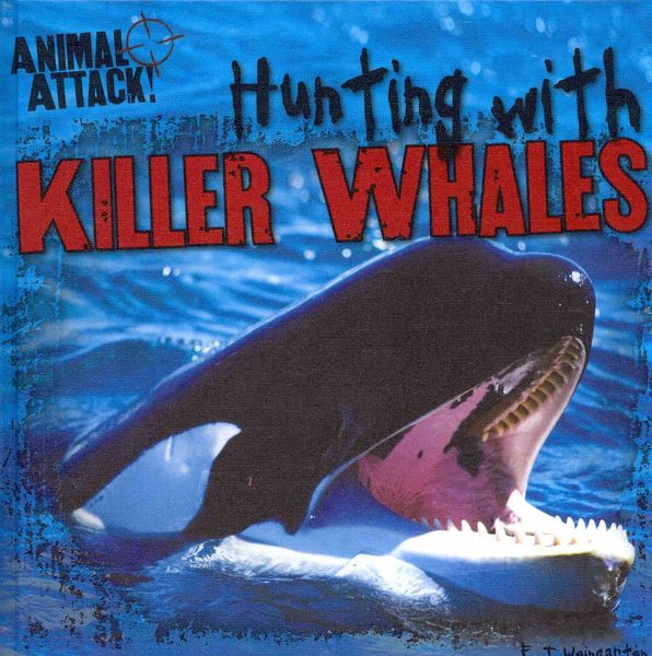 Hunting W/killer Whales