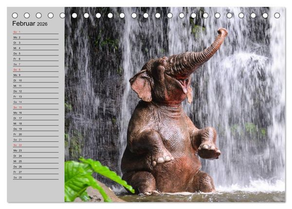 Produktbild: Elefanten. Spa&szlig; am Wasser (Tischkalender 2026 DIN A5 quer), CALVENDO Monatskalender