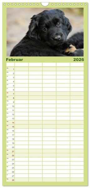 Produktbild: Familienplaner 2026 - Welpen 2026 mit 5 Spalten (Wandkalender, 21 x 45 cm) CALVENDO