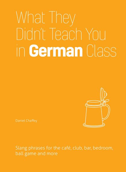 Produktbild: What They Didn't Teach You in German Class