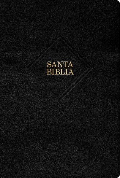 Rvr 1960 Biblia Letra Gigante, Negro Piel Fabricada Con Índice (Edición 2023), Gebundene Ausgabe von , B&H Publishing Group, 9781430094326