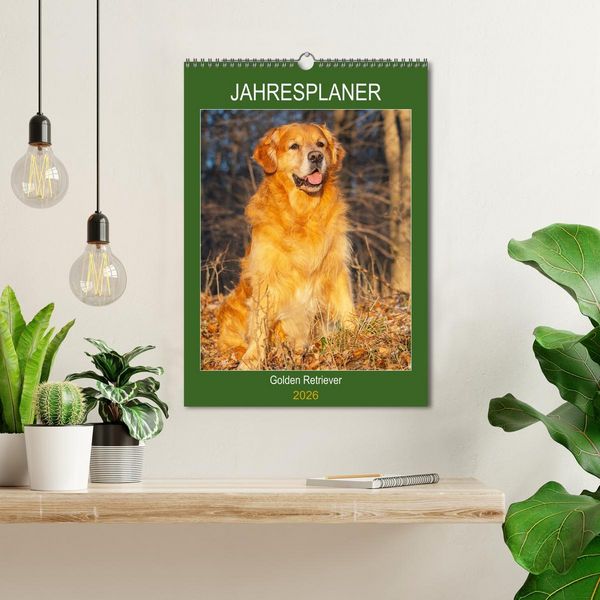 Produktbild: Jahresplaner Golden Retriever (Wandkalender 2026 DIN A3 hoch), CALVENDO Monatskalender