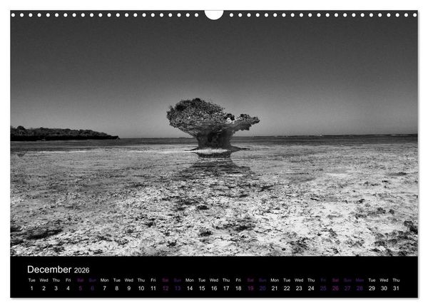 Produktbild: East Africa - Tanzania and Kenya / UK-Version (Wall Calendar 2026 DIN A3 landscape), CALVENDO 12 Month Wall Calendar