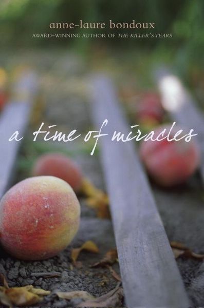 Produktbild: A Time of Miracles