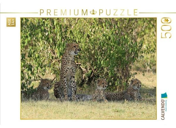 CALVENDO Puzzle Geparden unter schattigem Busch | 500 Teile Lege-Größe 48 × 36 cm Foto-Puzzle für Erwachsene