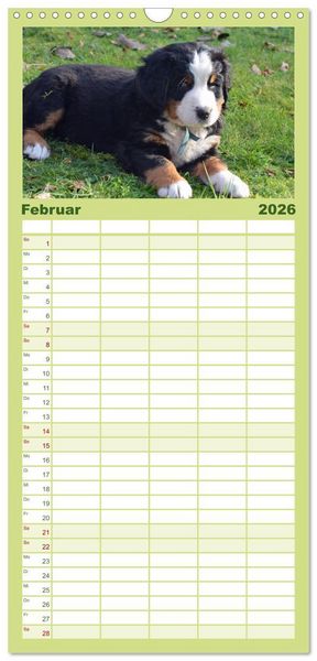 Produktbild: Familienplaner 2026 - Rasselbande mit 40 Pfoten mit 5 Spalten (Wandkalender, 21 x 45 cm) CALVENDO