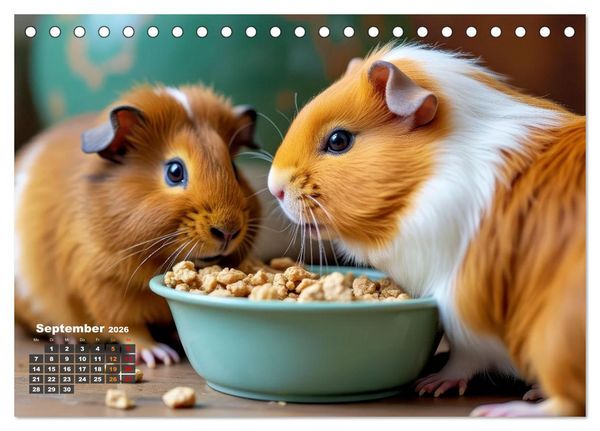 Produktbild: S&uuml;&szlig;e Meerschweinchen (Tischkalender 2026 DIN A5 quer), CALVENDO Monatskalender