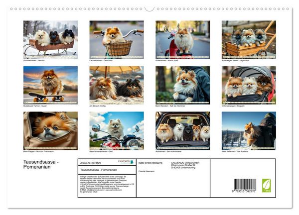 Produktbild: Tausendsassa - Pomeranian (hochwertiger Premium Wandkalender 2026 DIN A2 quer), Kunstdruck in Hochglanz